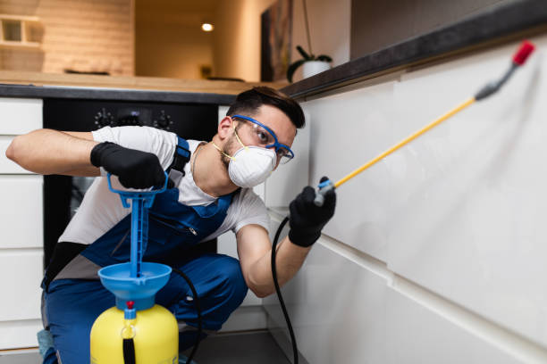 Best Flea Control Services  in Pinehurst, ID