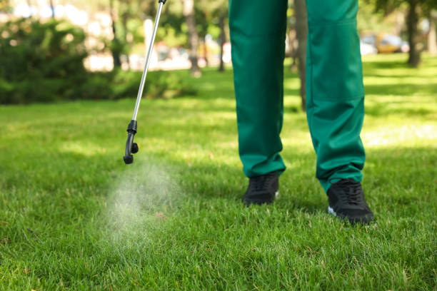 Best Insect Control  in Pinehurst, ID