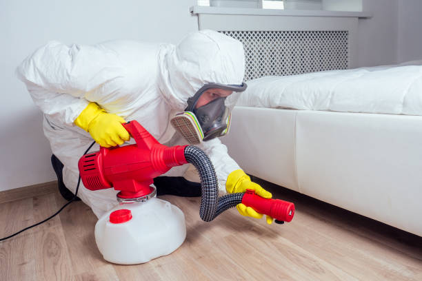 Best Affordable Pest Control Services  in Pinehurst, ID
