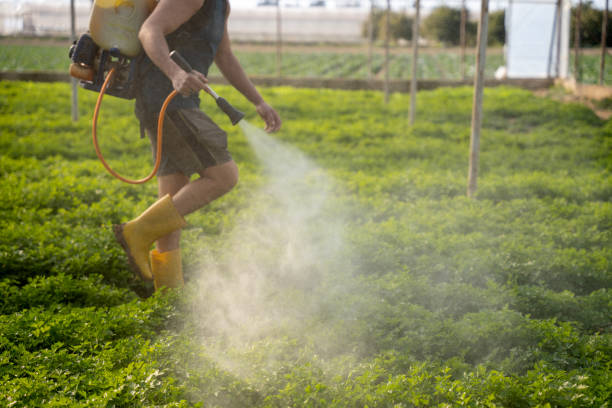 Best Pest Removal Services  in Pinehurst, ID