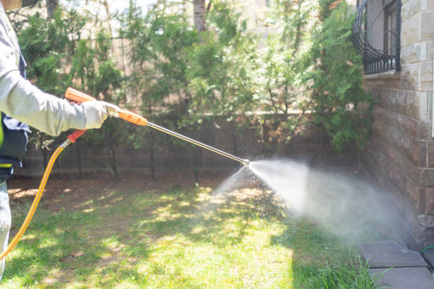 Best Pest Prevention Services  in Pinehurst, ID